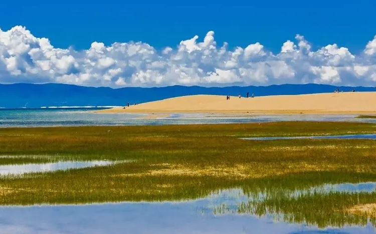 環青海湖地區