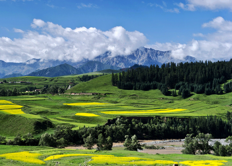 祁連山地區